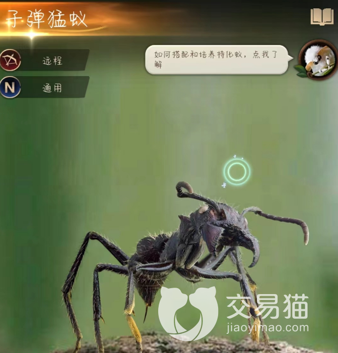 梦幻西游忘记哪个区了？找回你的游戏记忆