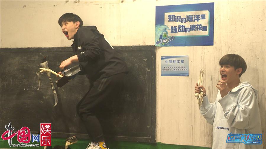 梦幻西游动漫第五季：开启全新的奇幻冒险之旅