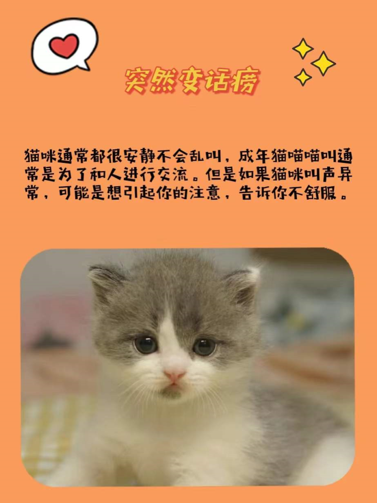 堡垒之夜攻略：掌握技巧，成为战场王者