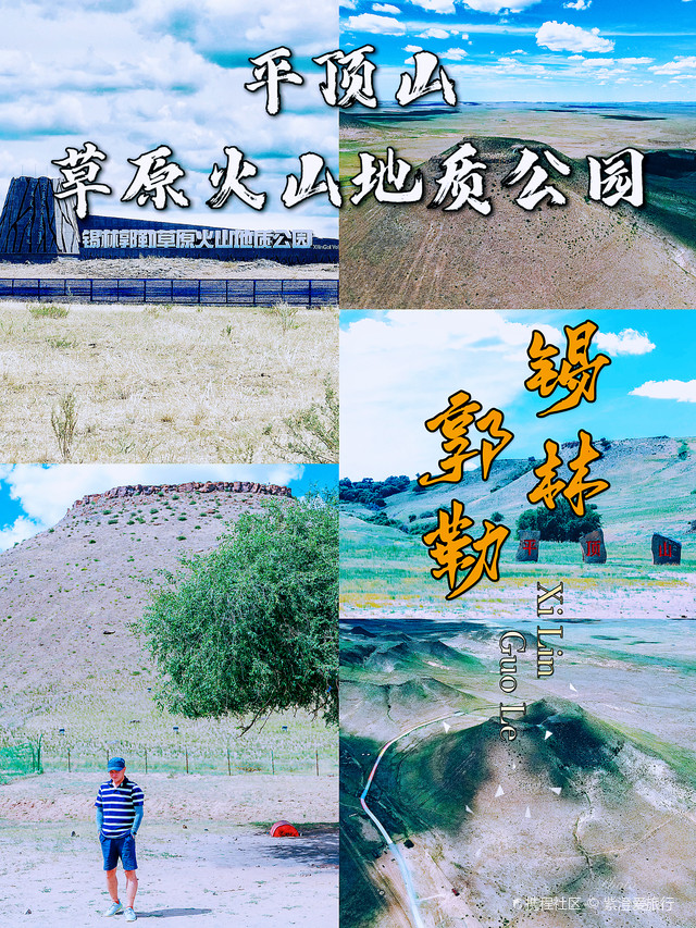森林攻略：探索未知世界的完全指南