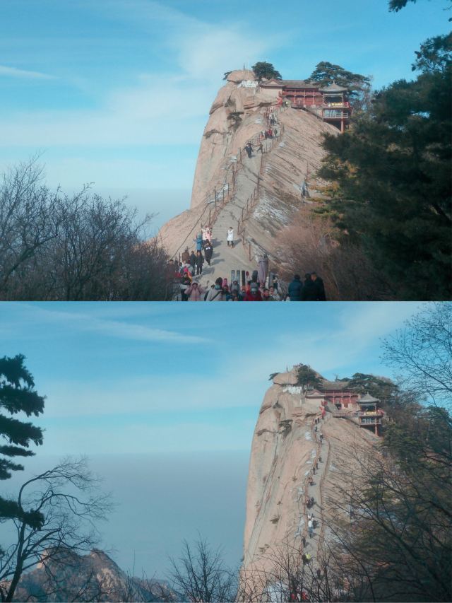 鳄鱼洗澡攻略：给你的宠物鳄鱼一个舒适的沐浴体验