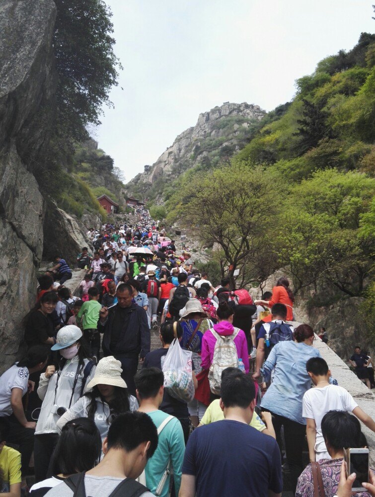 火柴人绳索英雄破解版：解锁无限可能的冒险之旅