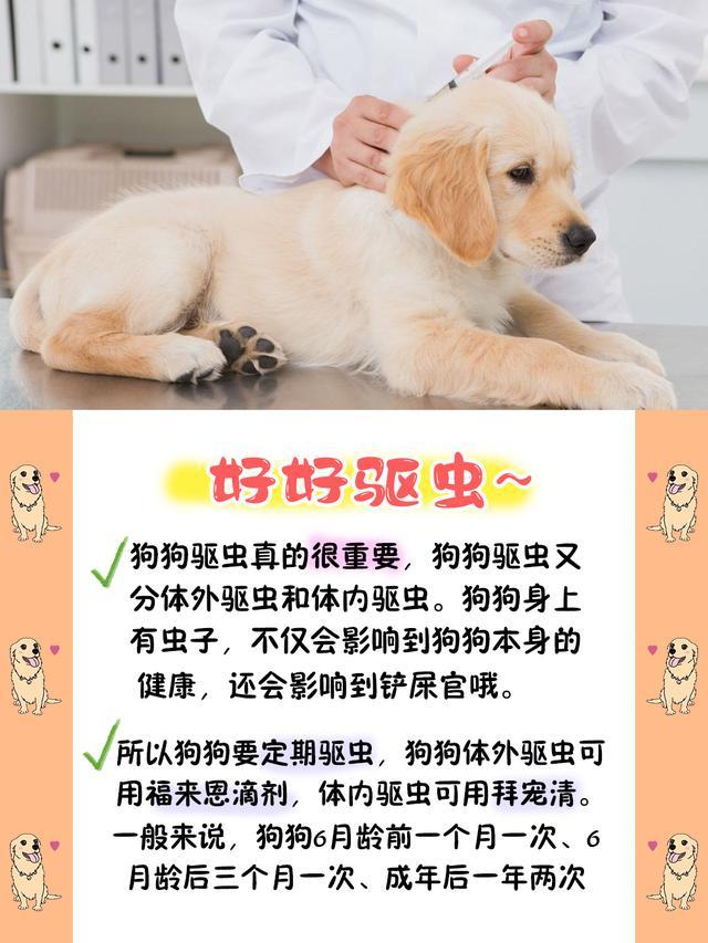 重返德军总部攻略：解锁二战秘密任务的完整指南