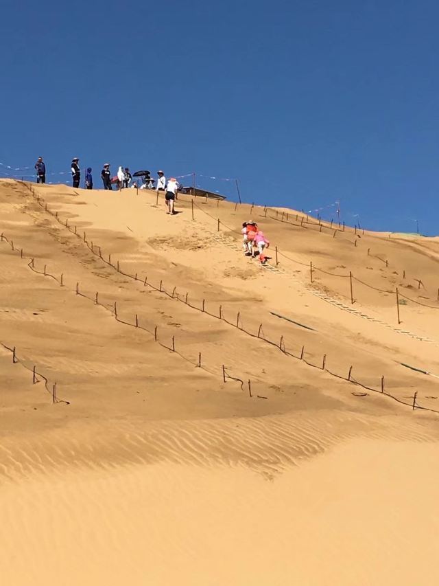 足球大师手游：掌握绿茵场的智慧与策略