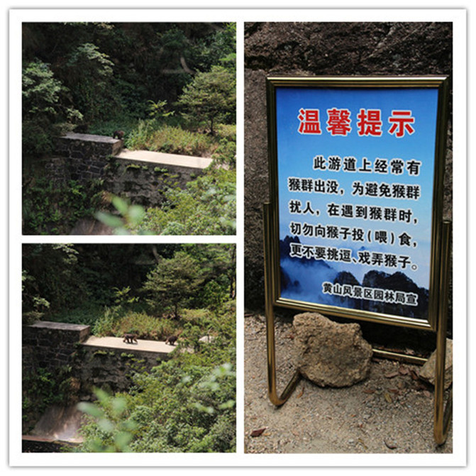 云顶之弈攻略图：掌握游戏精髓，轻松上分