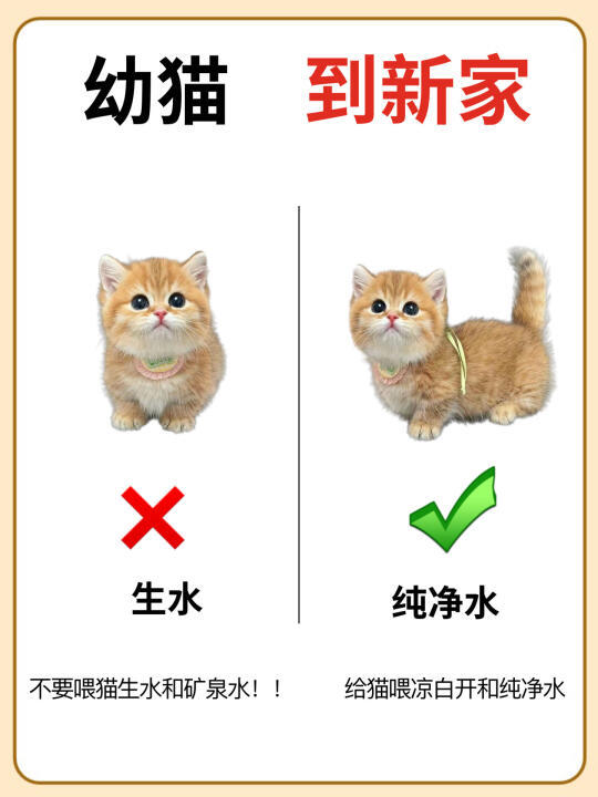 藏宝阁手游交易平台下载：安全、便捷的游戏交易体验
