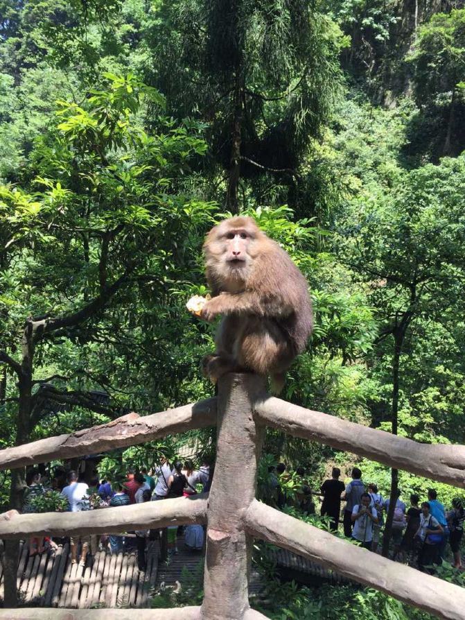 小7手游平台：开启您的移动游戏新篇章