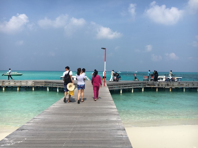 梦幻西游卖环：掌握市场动向，实现高效交易
