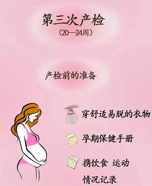 我的恐龙破解版下载：探索史前世界的全新体验