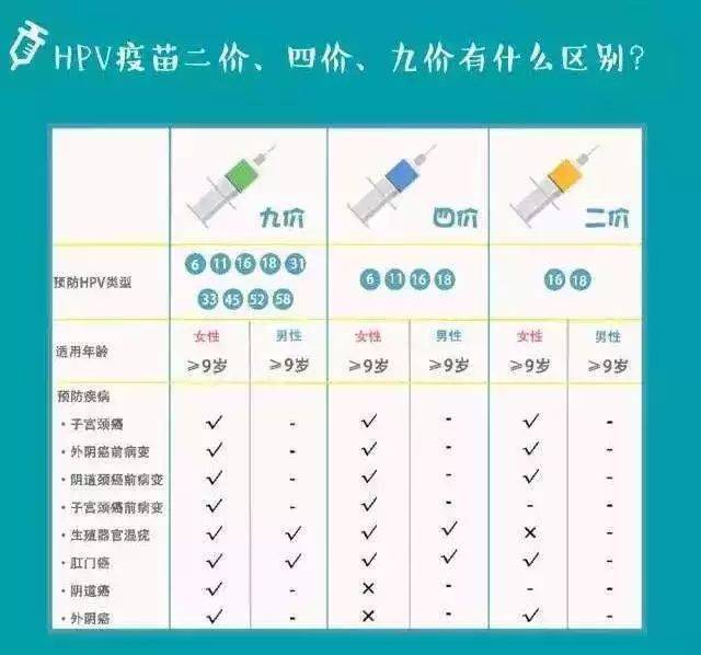 72攻略：探索游戏世界的深度奥秘