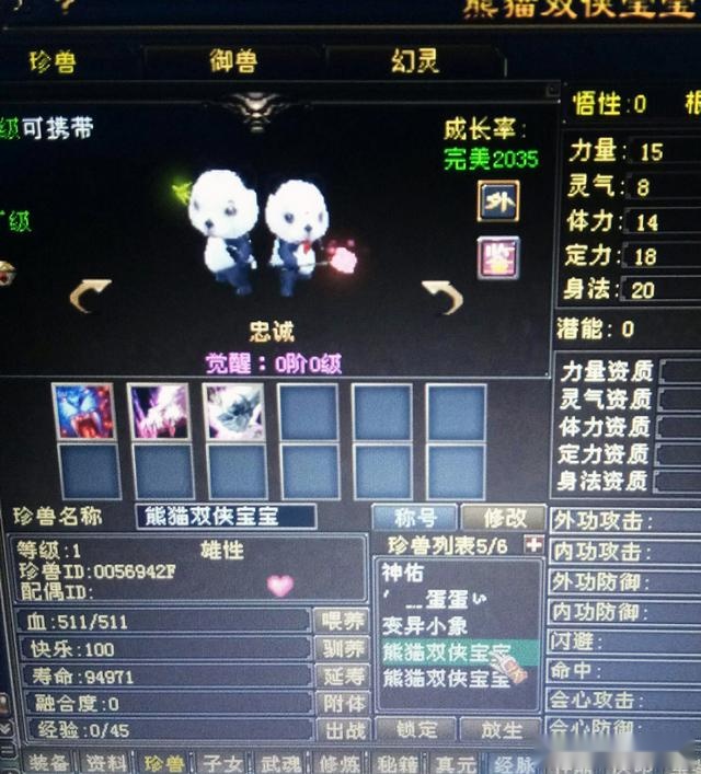 梦幻西游吸血特技：提升输出的秘密武器