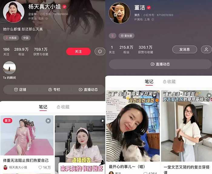 荒岛求生游戏攻略:如何在虚拟世界中生存 荒岛求生游戏攻略:如何在虚拟世界中生存