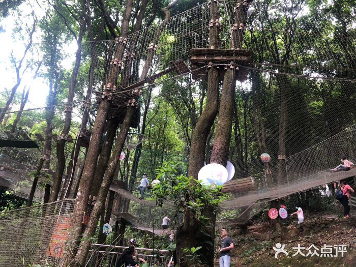 梦幻西游卡死问题解析：如何解决游戏卡顿现象