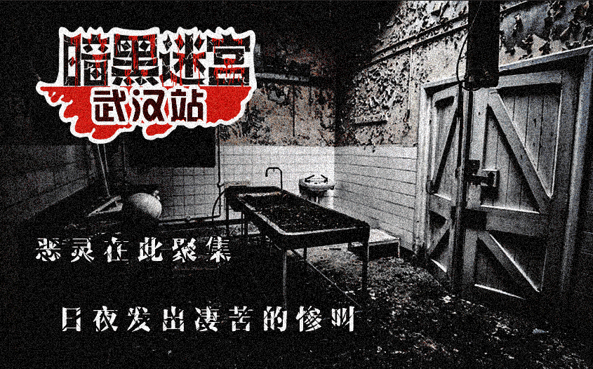 梦幻西游星灵仙子：探寻神秘仙境的魅力
