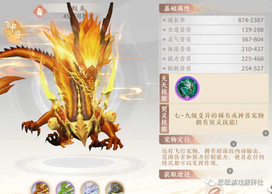 burp破解版：揭秘网络安全工具的免费使用之道
