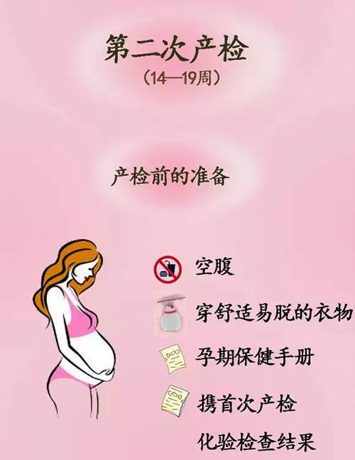 梦幻西游安全码填写指南：保障账号安全的必备步骤