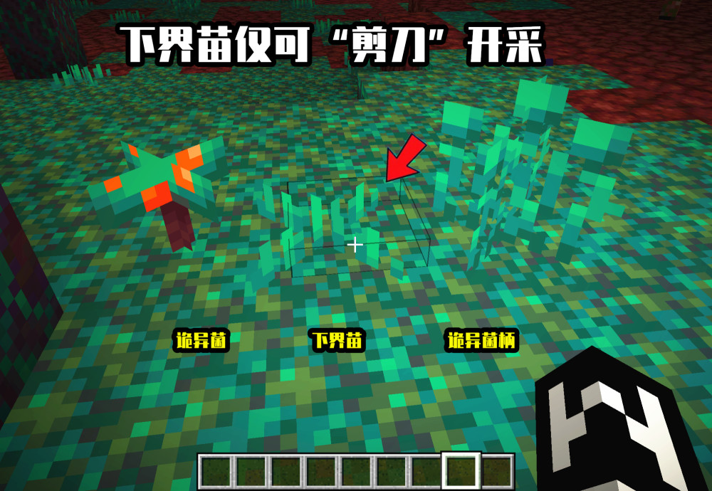 PS CS5破解版：探索合法与非法之间的边界
